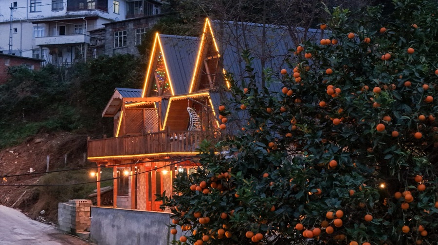 Artvin Kemalpaşa 1+1 Jakuzili ve Deniz Manzaralı Dağ Evi DRM-2051