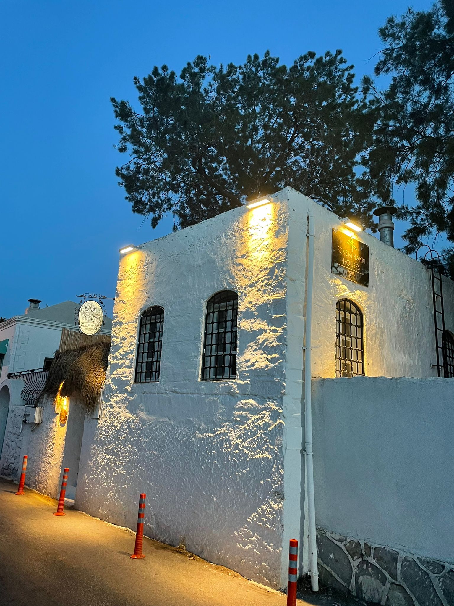 Bodrum Merkez 3+1 Özel Havuzlu Lüks Villa BV-215